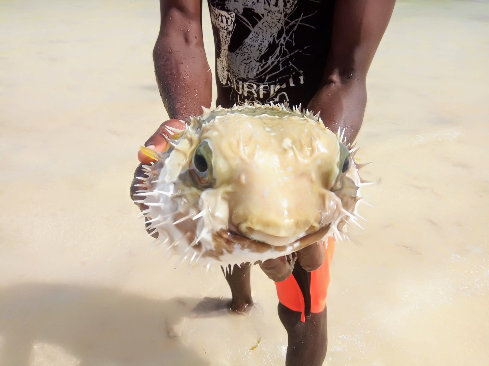 Watamu beach safari