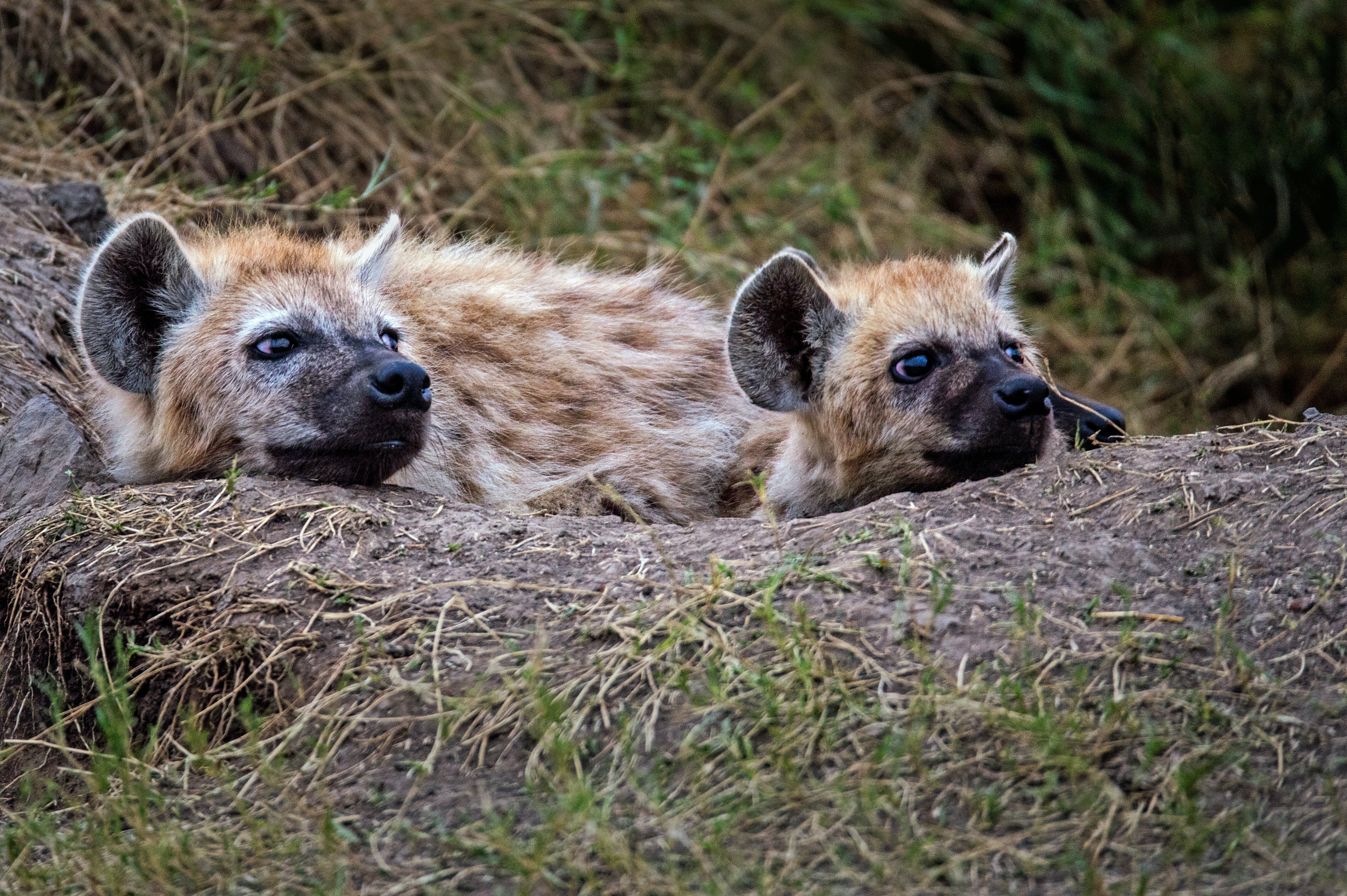 Soysambo Conservancy