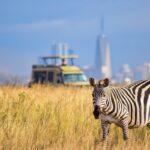 Nairobi-Naboisho Conservancy safari