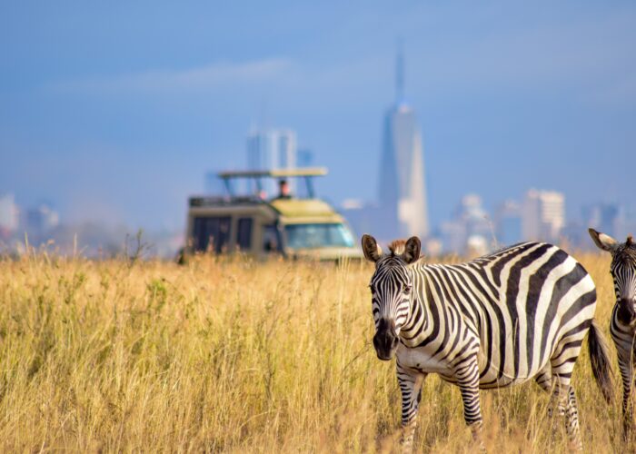 Nairobi-Naboisho Conservancy safari