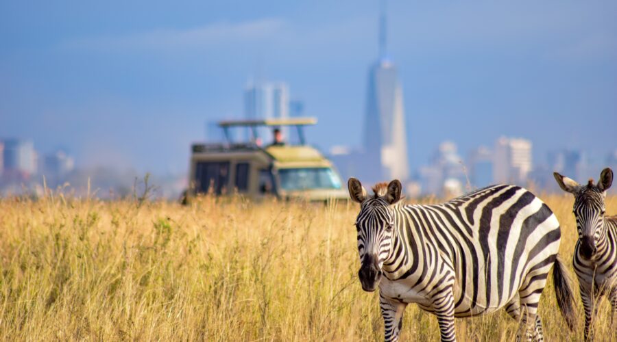 Nairobi-Naboisho Conservancy safari