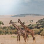 03 DAY safari TO AMBOSELI NATIONAL PARK