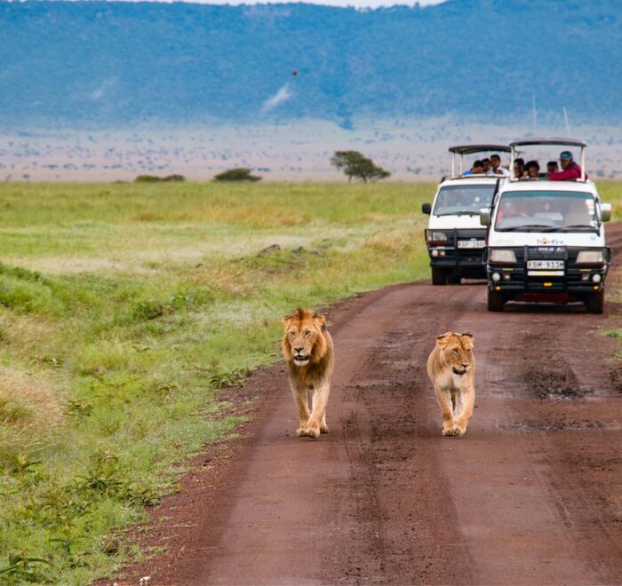 FULL DAY EXCURSION AT HELLS GATE NATIONAL PARK