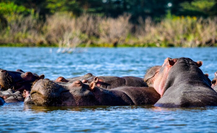 Lake Nakuru National Park