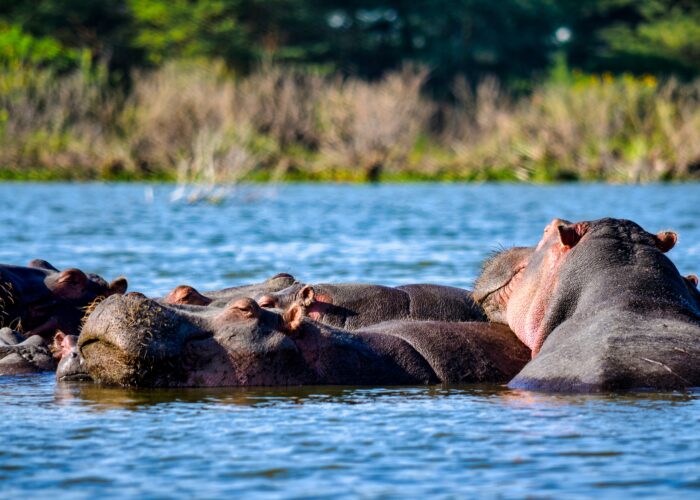 Lake Nakuru National Park