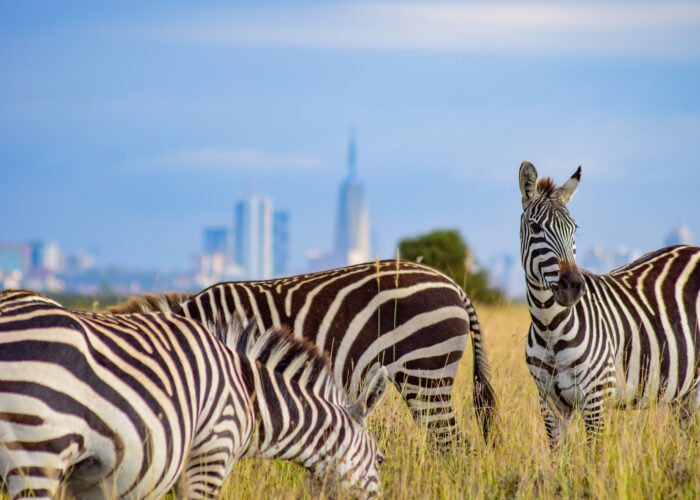 NAIROBI NATIONAL PARK