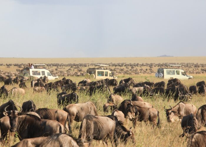 full-kenya-experience-safari-expeditions