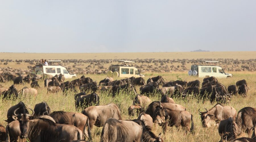 full-kenya-experience-safari-expeditions