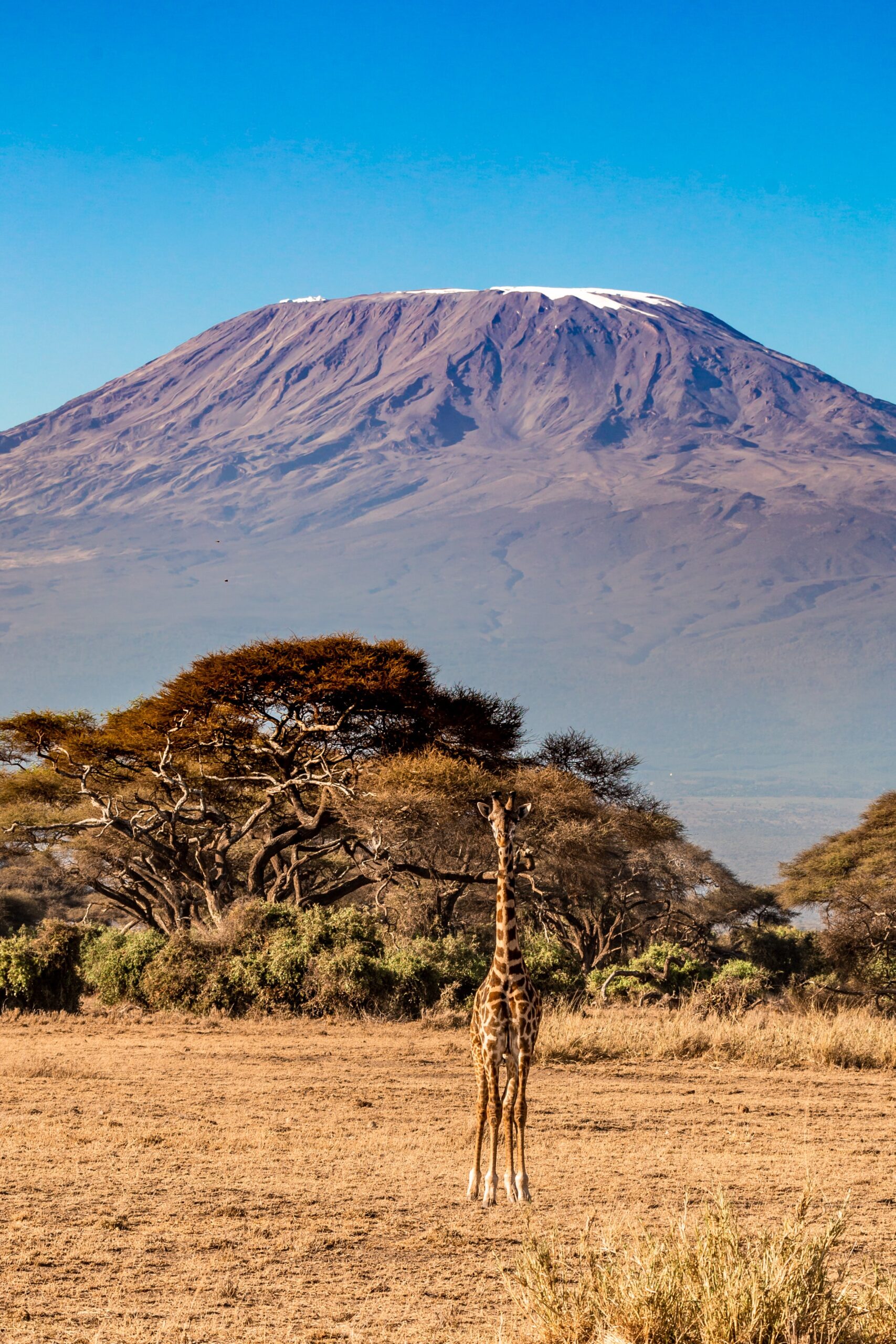 amboseli safari tour