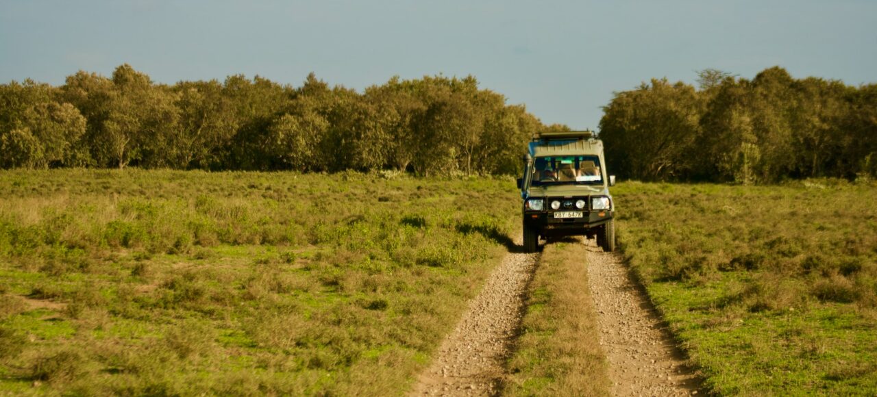 best time of year to go on safari in Kenya