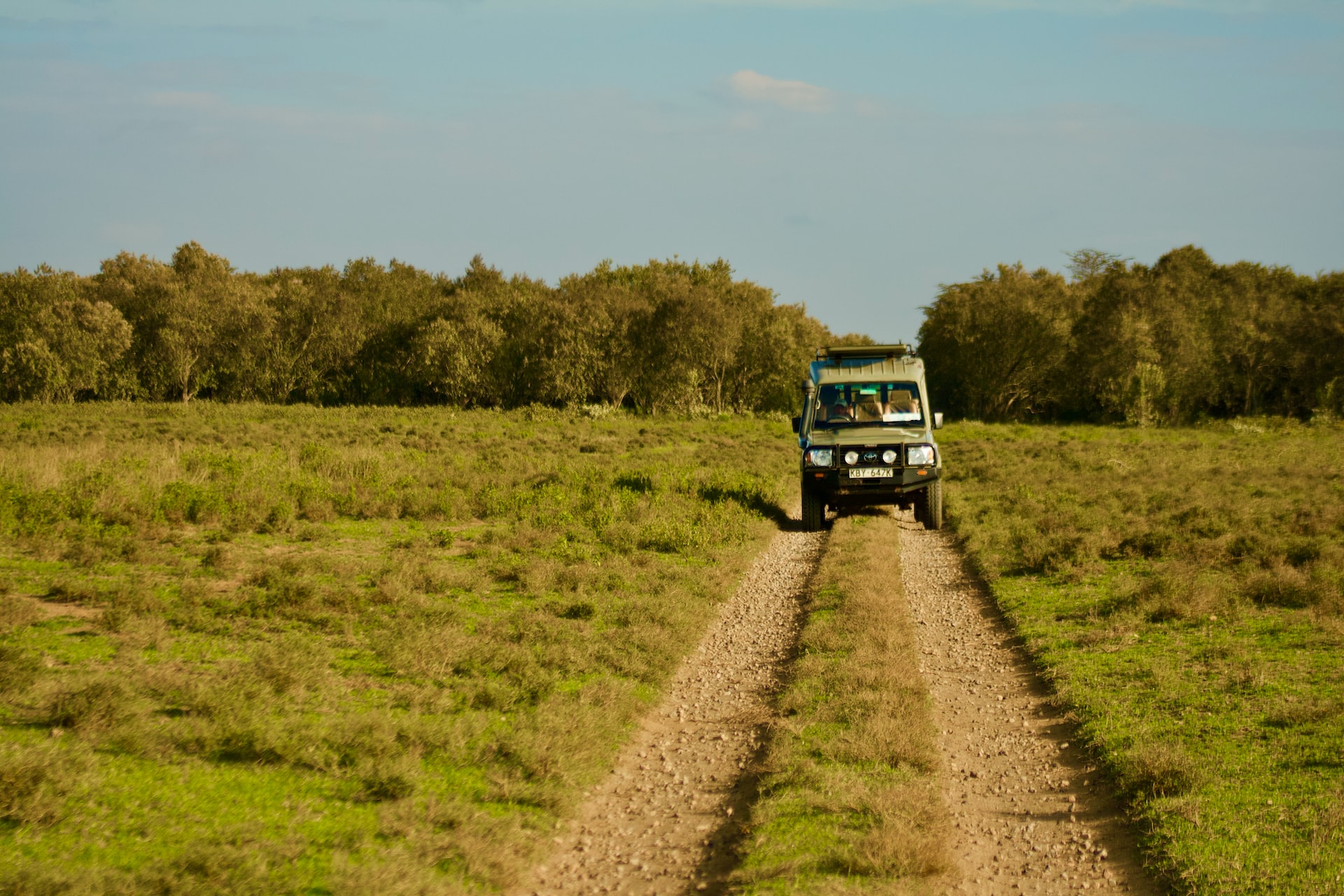 best time of year to go on safari in Kenya