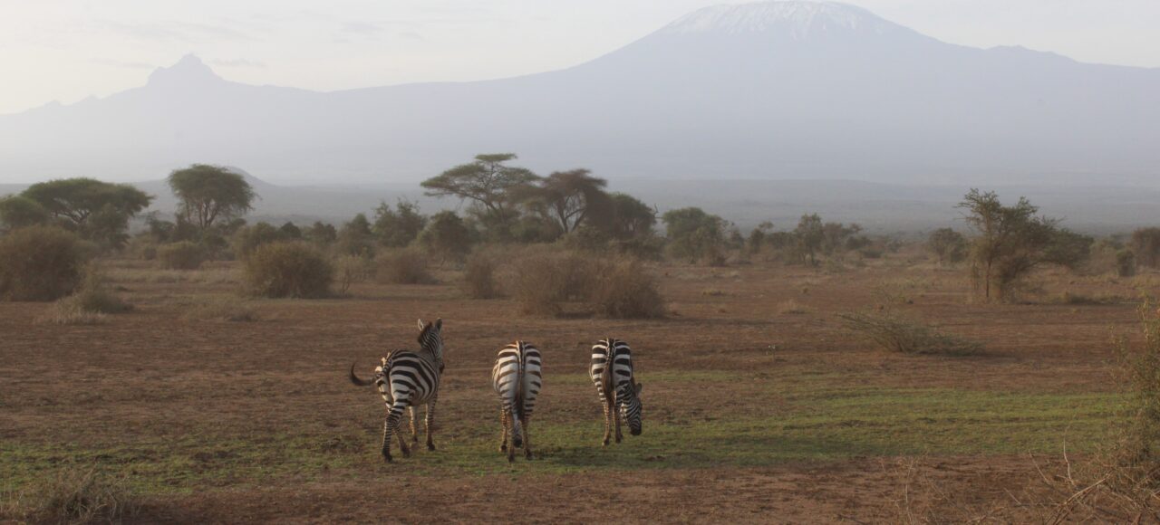 Amboseli National Park safari lodges and accommodations