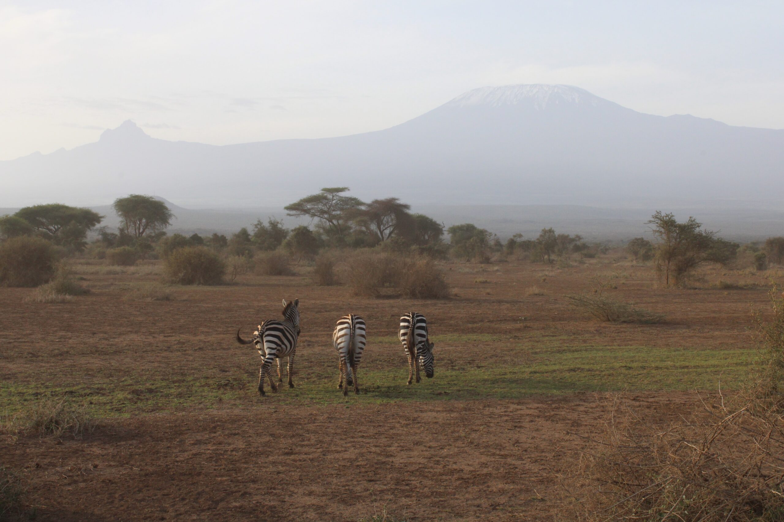 Amboseli National Park safari lodges and accommodations