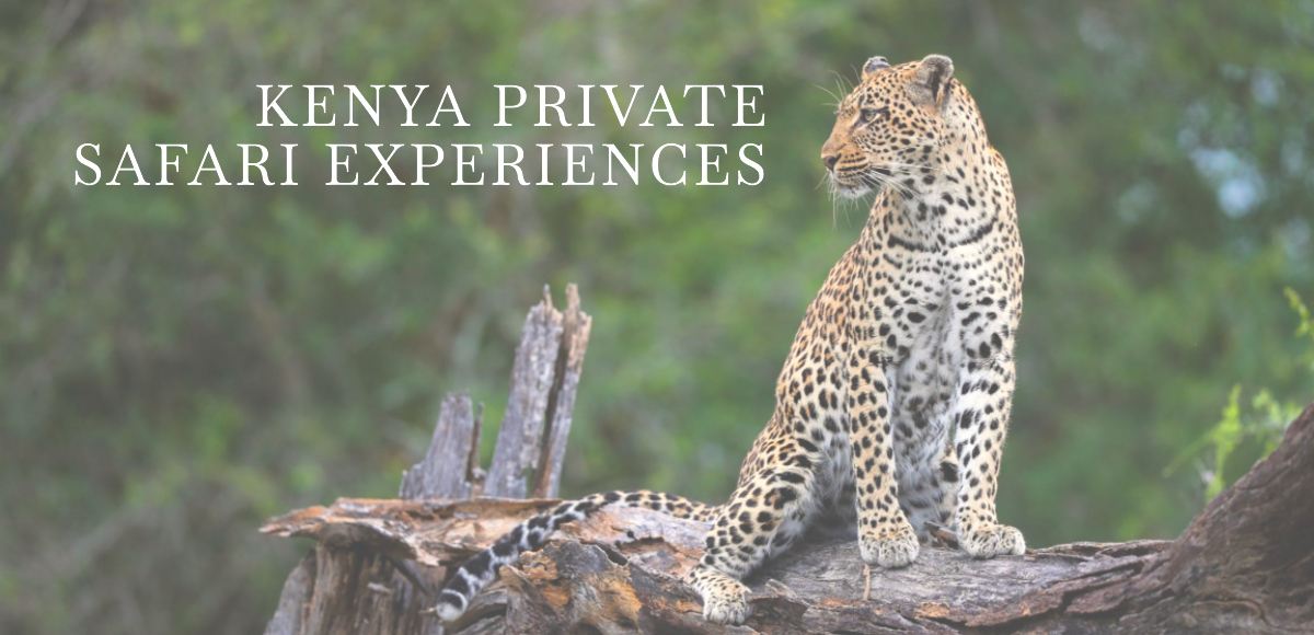 Kenya private safari experiences