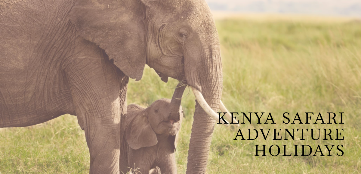 Kenya safari adventure holidays