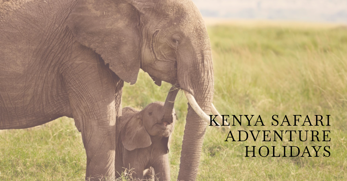 Kenya safari adventure holidays