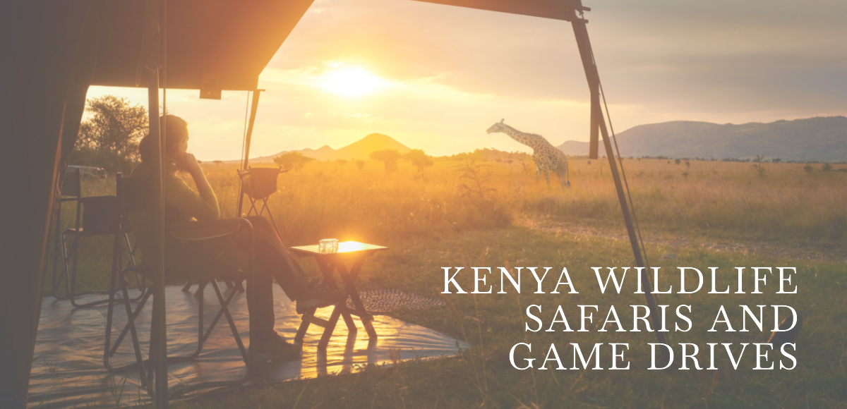 Kenya wildlife safaris and game drives