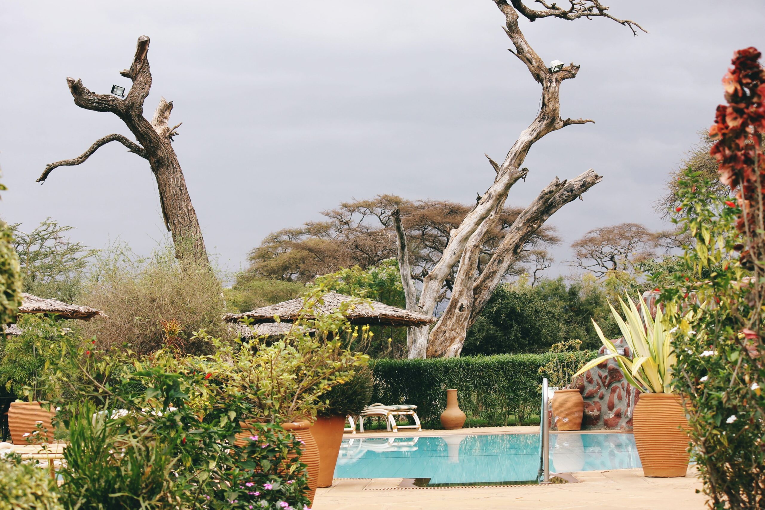 Maasai Mara Migration Safari Lodges and Accommodations