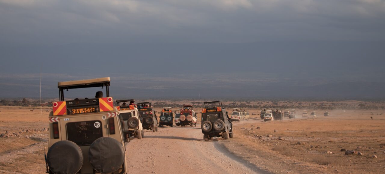 Photography opportunities of Amboseli National Park's diverse wildlife