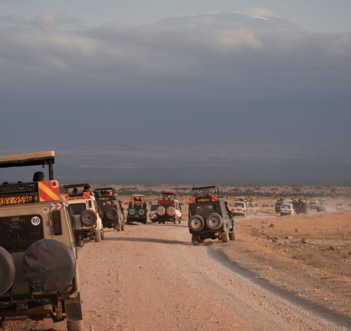 Photography opportunities of Amboseli National Park's diverse wildlife