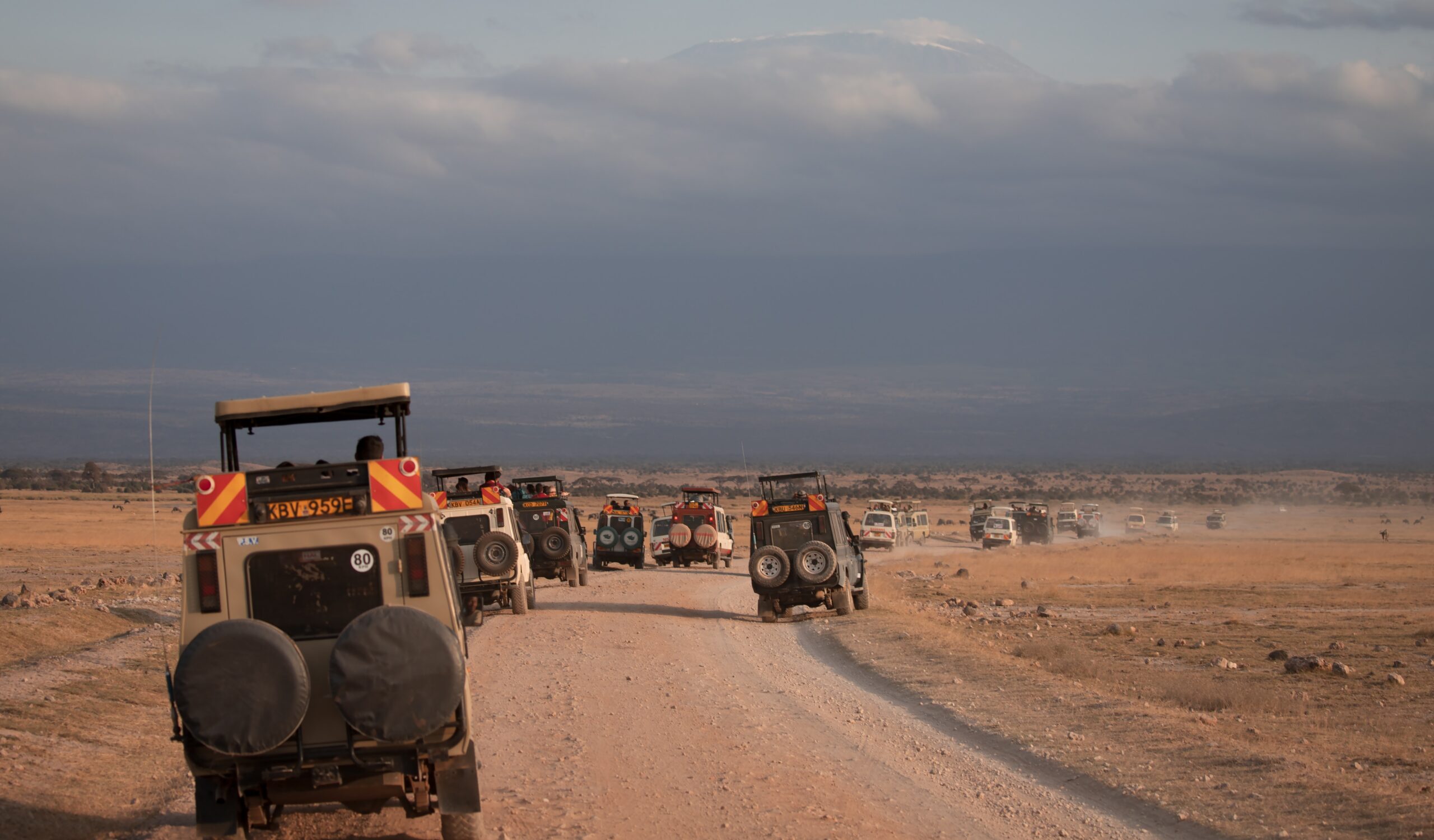 Photography opportunities of Amboseli National Park's diverse wildlife