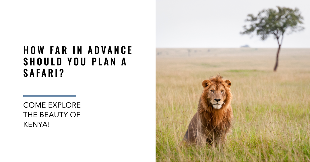 How far in advance should you plan a safari?