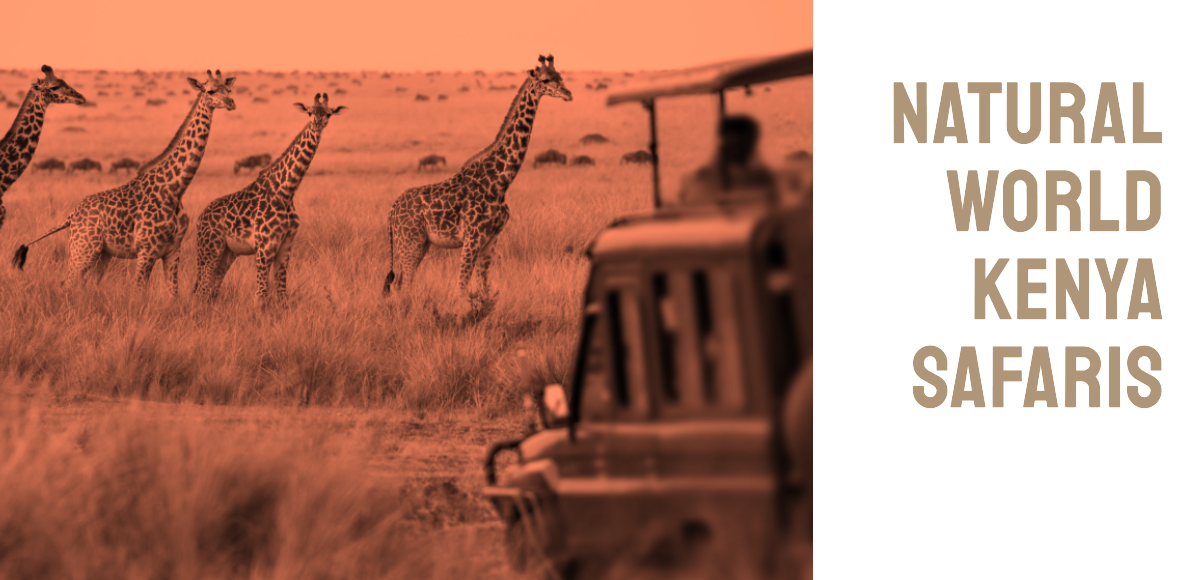 Natural World Kenya Safaris